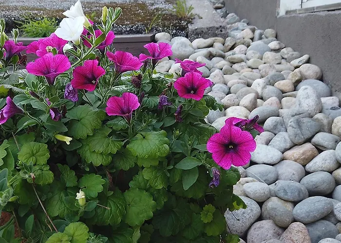 Seitsemaen Sillan Majatalo Värdshus Eugmo